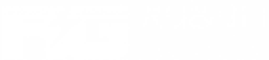 רוני וגיא קבלן חשמל לוגו