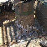 רוני וגיא - עמוד תקין עמוד לא תקין סכנת נפילה מיידית (4)