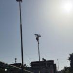 רוני וגיא - שדרוג תאורה במגרשי הכדורת רעננה (3)